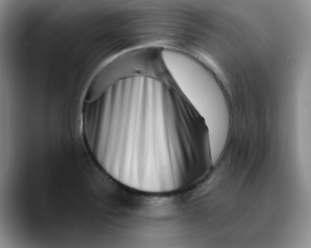 X0000089701324200707201732