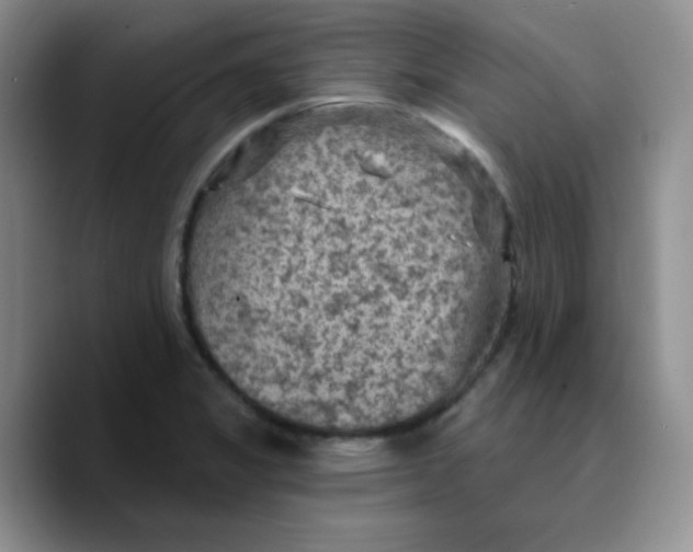 X0000089701325200707201732