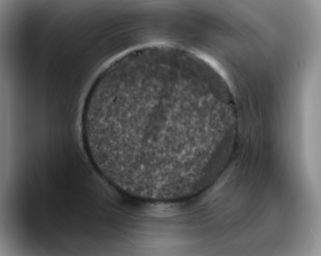 X0000089701327200707201732
