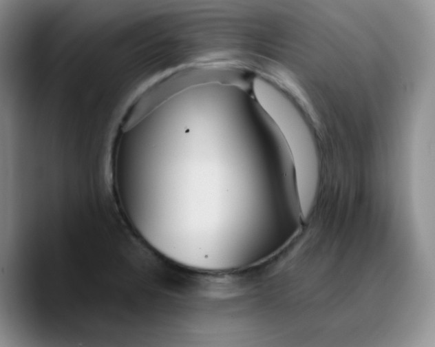 X0000089701328200707201732
