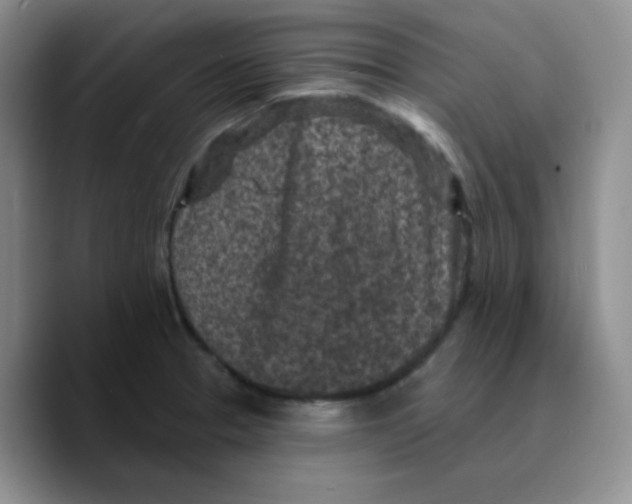 X0000089701329200707201732