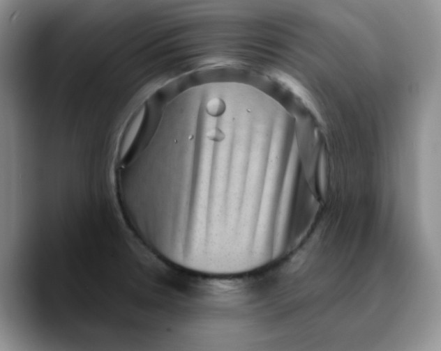 X0000089701330200707201732