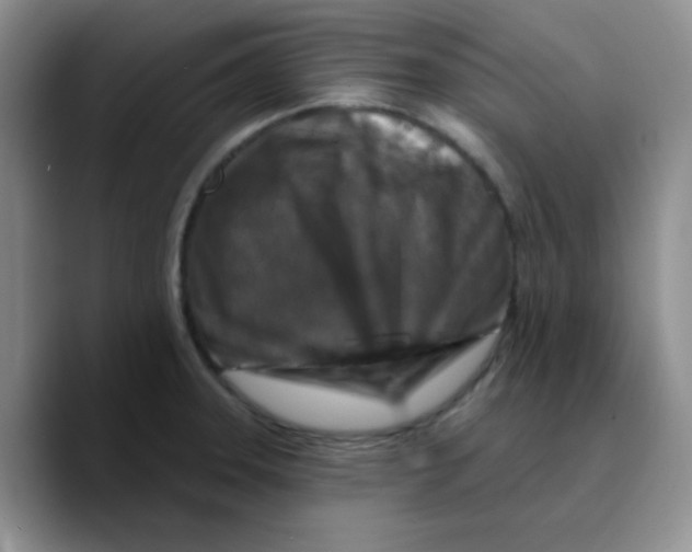 X0000089701331200707201732