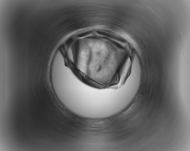 X0000089701332200707201732