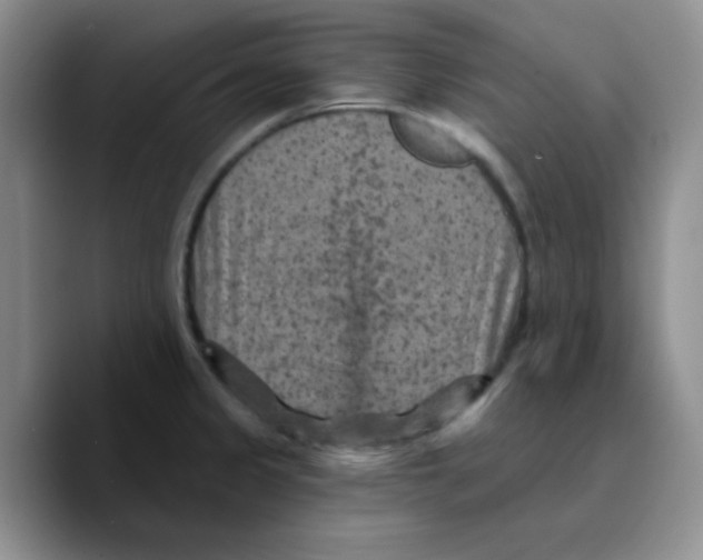 X0000089701333200707201732