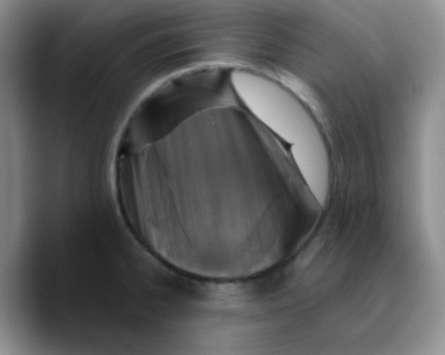 X0000089701334200707201732