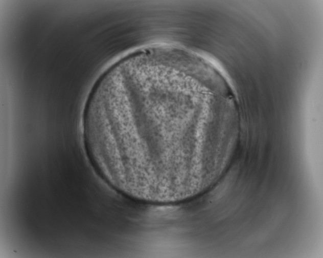 X0000089701335200707201732