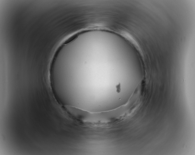 X0000089701336200707201732