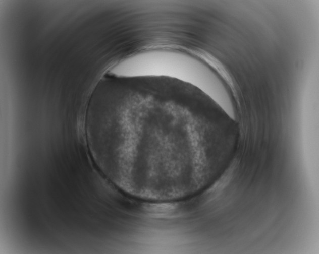 X0000089701337200707201733