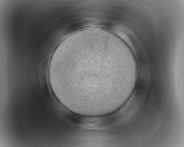 X0000089701338200707201733
