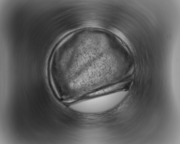 X0000089701339200707201733