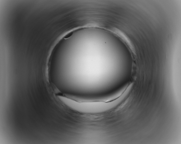 X0000089701340200707201733