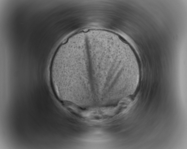 X0000089701341200707201733