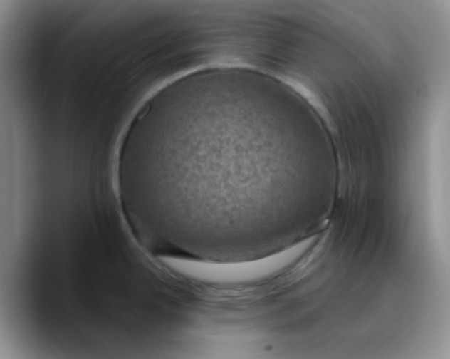 X0000089701342200707201733