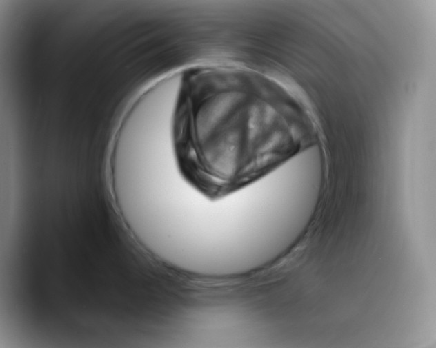 X0000089701344200707201733