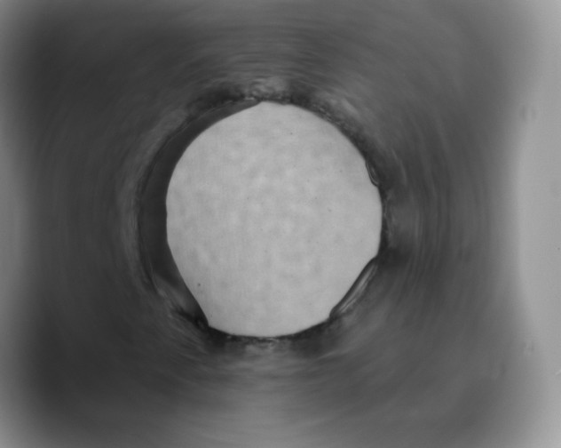 X0000089701345200707201732