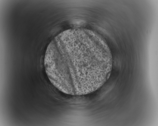 X0000089701346200707201732