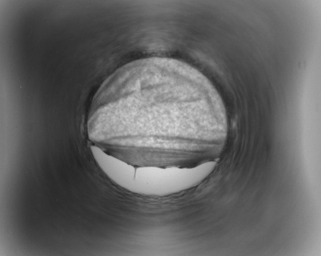 X0000089701348200707201732