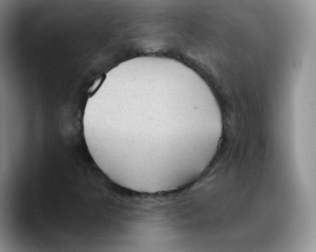 X0000089701349200707201732