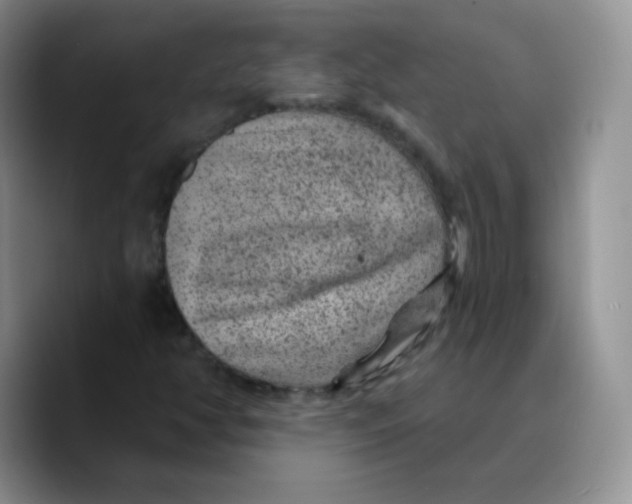 X0000089701350200707201732