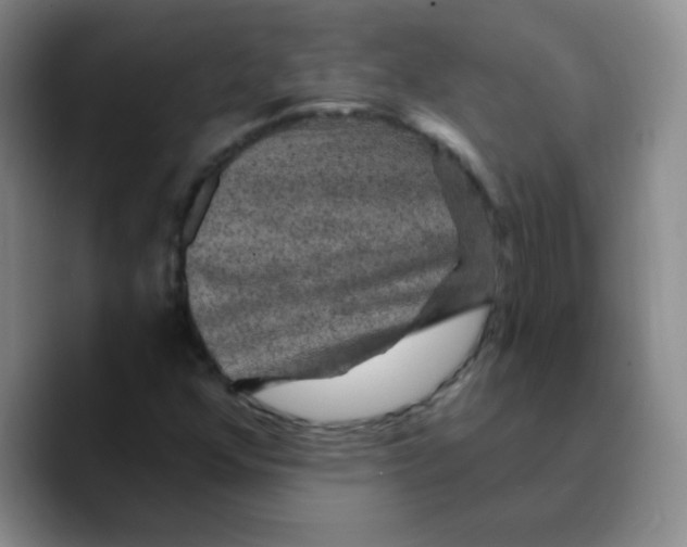 X0000089701352200707201732