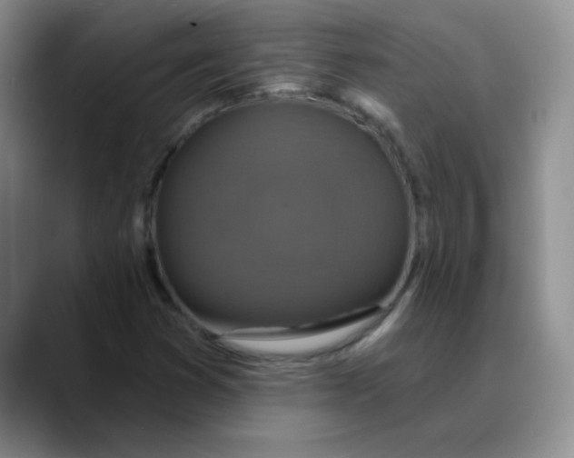 X0000089701353200707201732