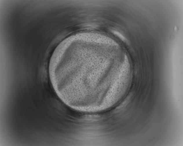 X0000089701354200707201732