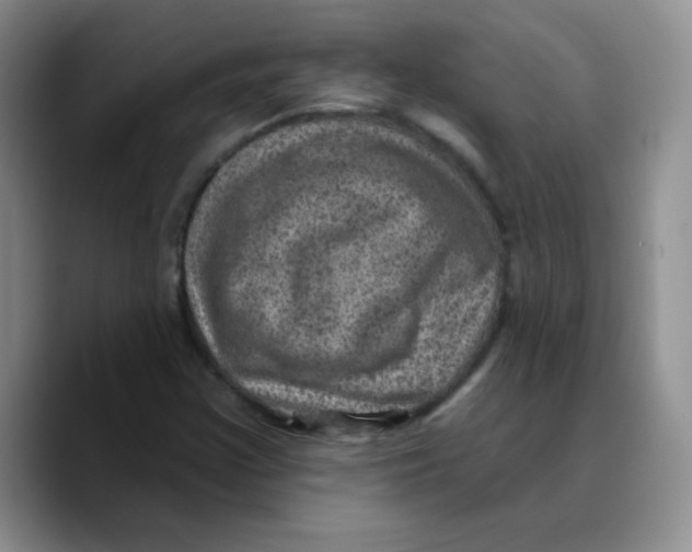 X0000089701355200707201732