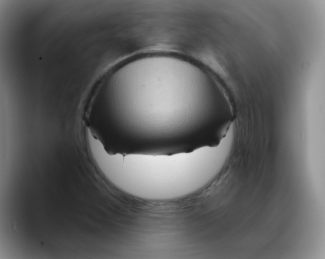 X0000089701356200707201732