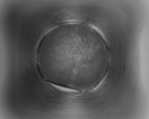 X0000089701357200707201732