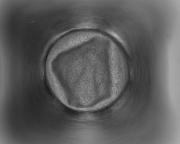 X0000089701358200707201732