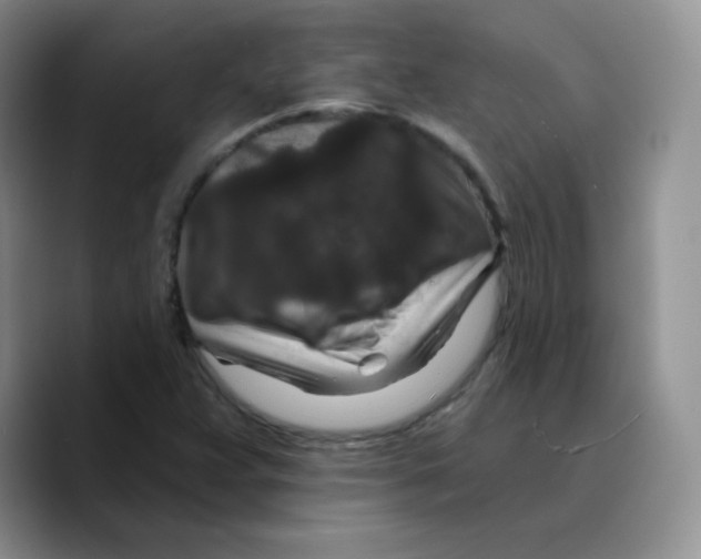 X0000089701359200707201732