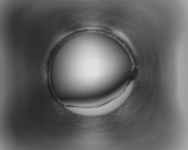 X0000089701360200707201732