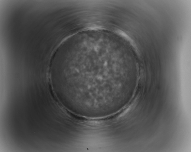 X0000089701361200707201732