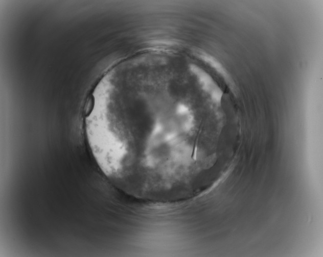 X0000089701362200707201732