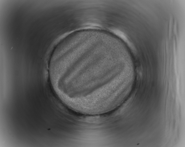 X0000089701363200707201732