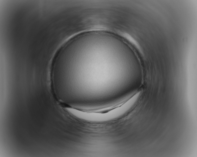 X0000089701364200707201732