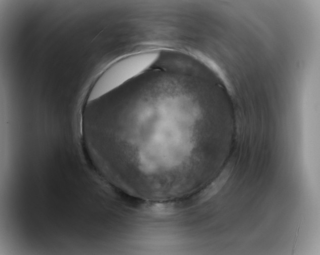 X0000089701365200707201732