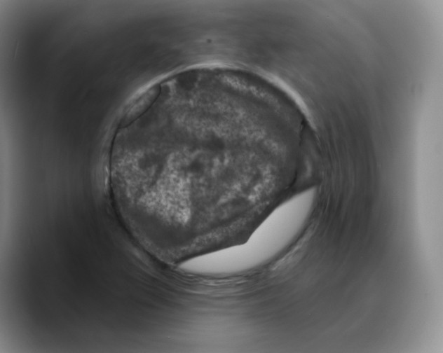 X0000089701367200707201732