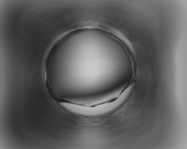 X0000089701368200707201732