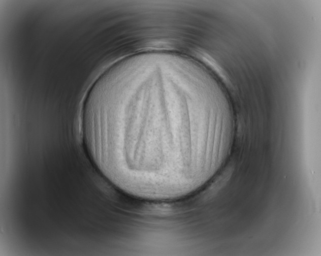 X0000089701370200707201732
