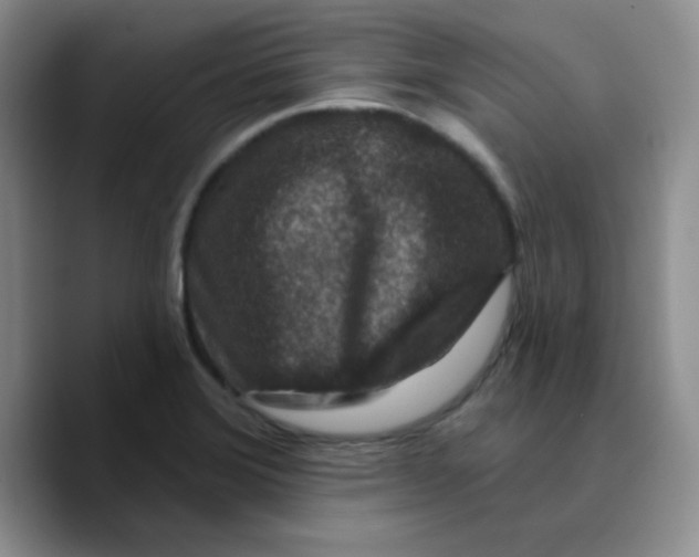 X0000089701372200707201732