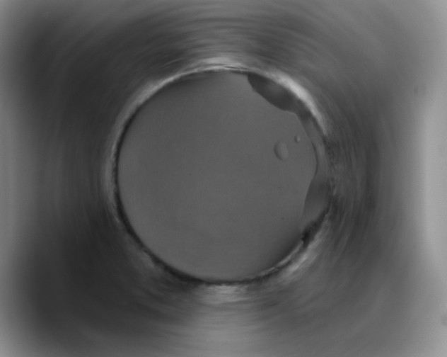 X0000089701373200707201732