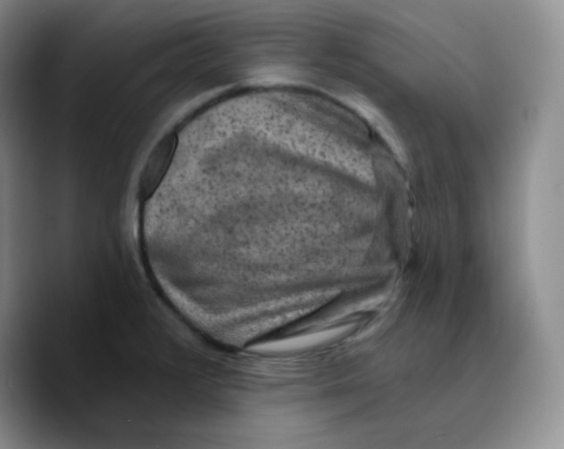 X0000089701376200707201732