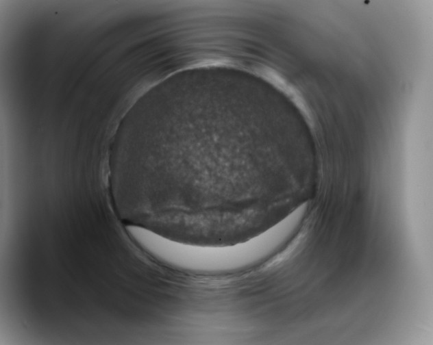X0000089701377200707201732