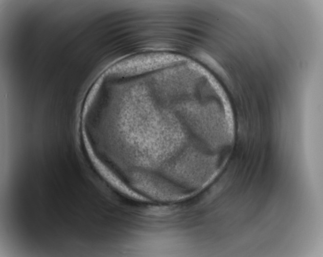 X0000089701378200707201732