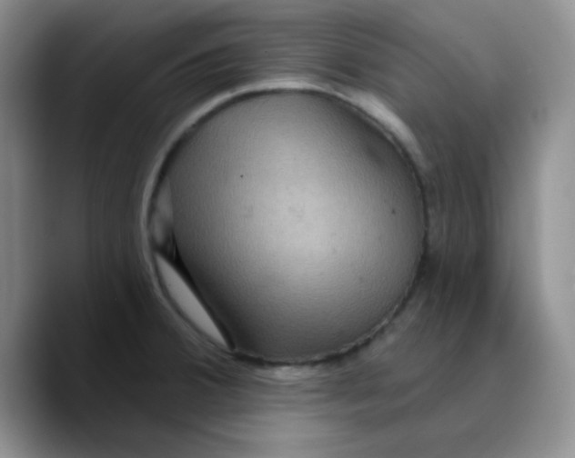 X0000089701380200707201732