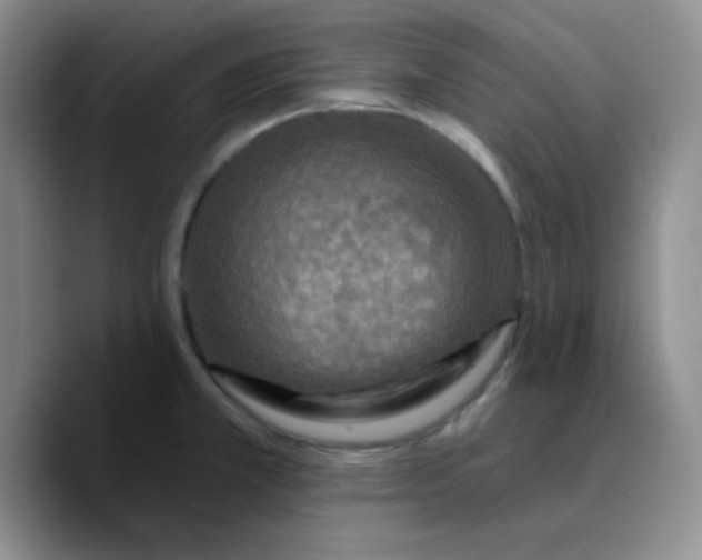 X0000089701381200707201731