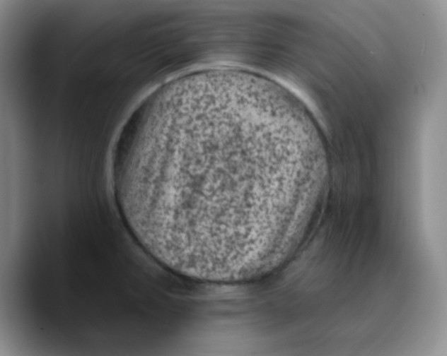 X0000089701382200707201731