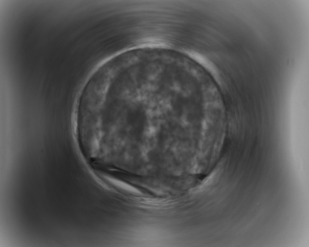 X0000089701383200707201731
